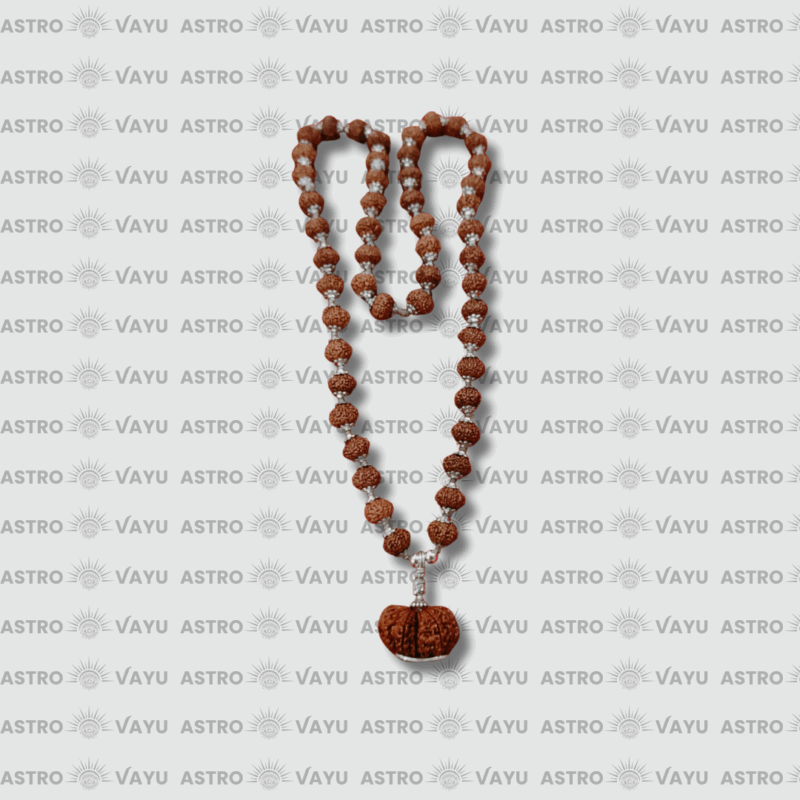 14 Faced Gauri Shankar Nepali Rudraksha in 10 Faced Rudraksha Silver Mala – Original & Abhimantrit