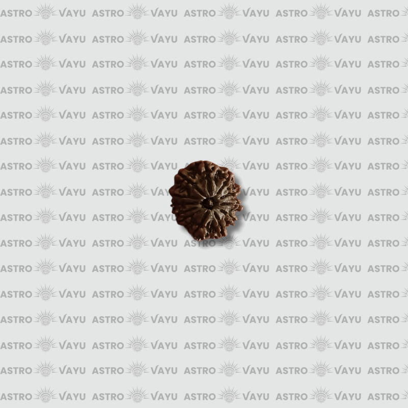 Nepali 14 Faced Rudraksha – Original & Abhimantrit