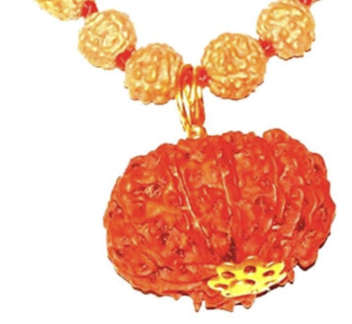 10 Faced Original Nepali Abhimantrit Rudraksha