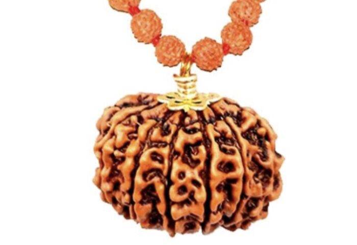 11 Faced Original Nepali Abhimantrit Rudraksha