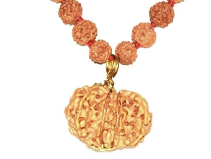 12 Faced Original Nepali Abhimantrit Rudraksha