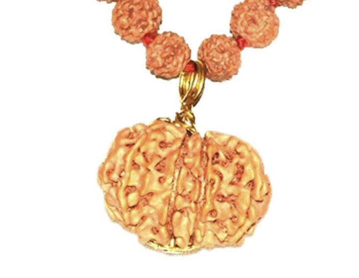 13 Faced Original Nepali Abhimantrit Rudraksha