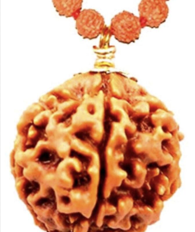 5 Faced Original Nepali Abhimantrit Rudraksha