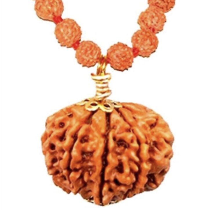 7 Faced Original Nepali Abhimantrit Rudraksha
