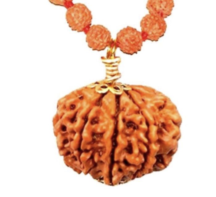 9 Faced Original Nepali Abhimantrit Rudraksha