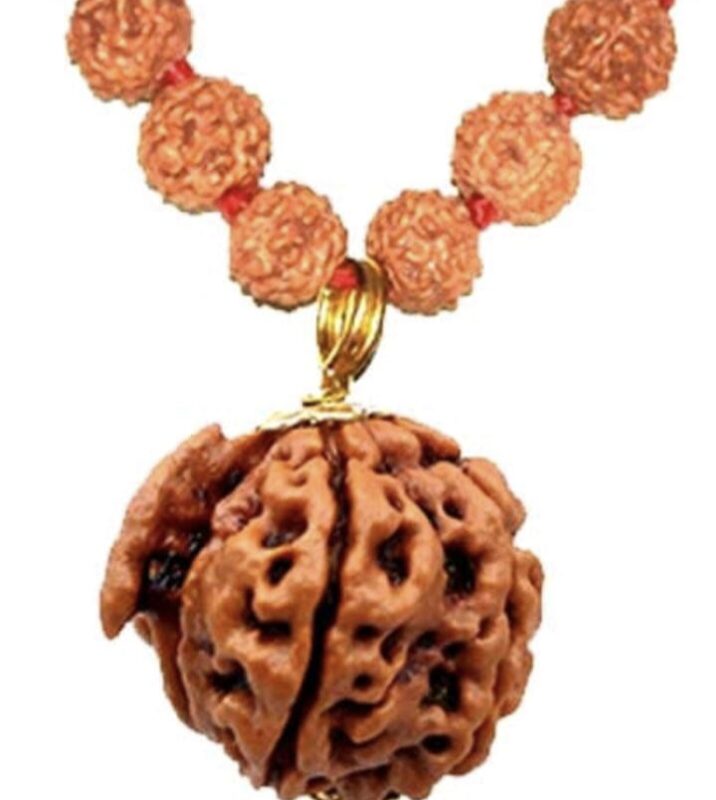 Ganesha Faced Original Nepali Abhimantrit Rudraksha